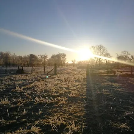 Sunny Mount Glamping Pod Campingplatz