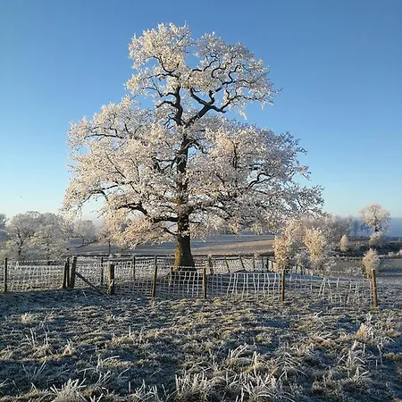 Campingplatz Sunny Mount Glamping Pod *