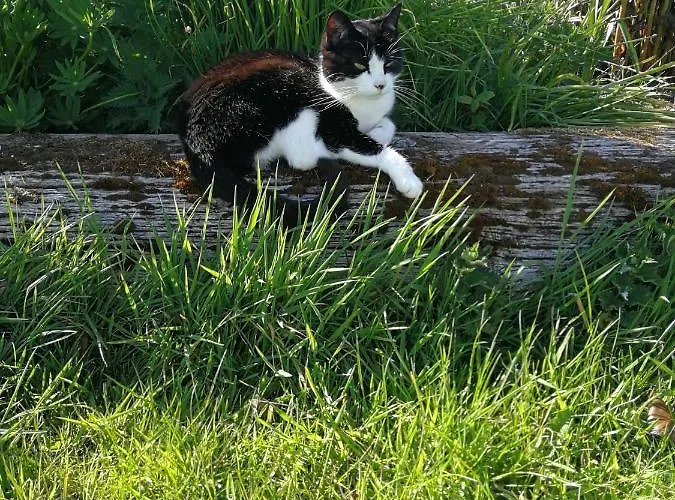 Sunny Mount Glamping Pod Campingplatz Long Marton