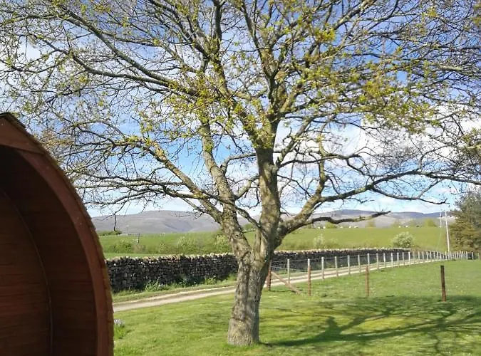 Sunny Mount Glamping Pod *