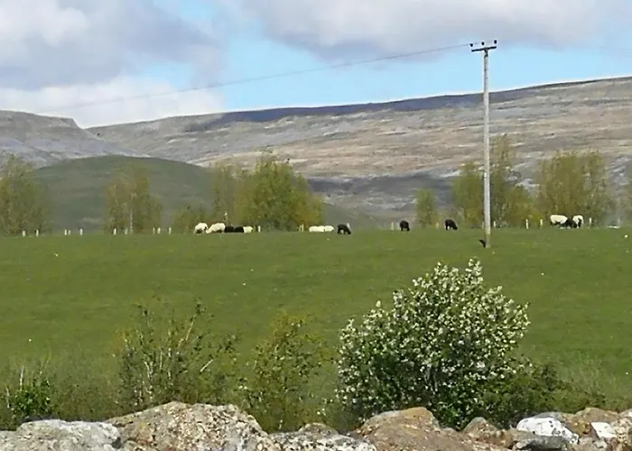 Sunny Mount Glamping Pod *