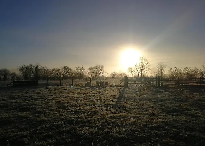 Campingplatz Sunny Mount Glamping Pod