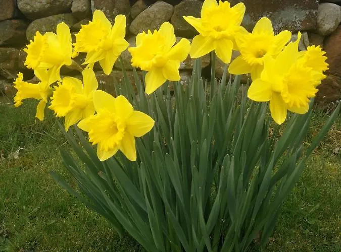 Campingplatz Sunny Mount Glamping Pod *