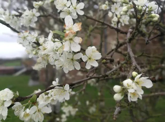 Campingplatz Sunny Mount Glamping Pod Long Marton