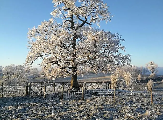 Campingplatz Sunny Mount Glamping Pod *