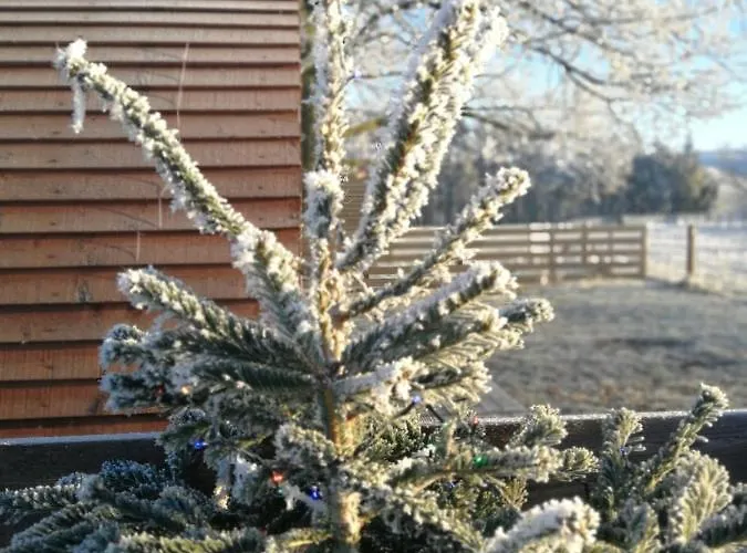 Sunny Mount Glamping Pod
