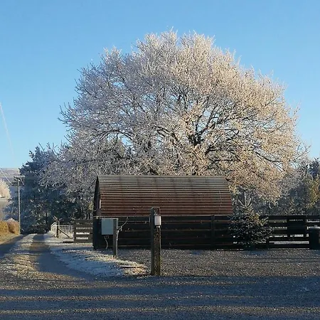 Sunny Mount Glamping Pod *