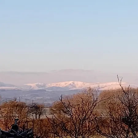 Sunny Mount Glamping Pod Campsite